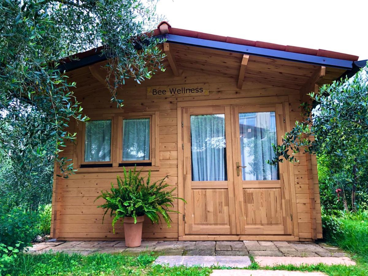BeeHouse - La Casa delle Api Agriturismo Borso del Grappa Extérieur photo
